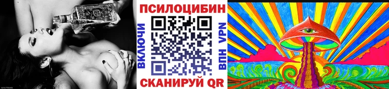 Купить  Тогучин  Псилоцибиновые грибы Psilocybine cubensis 