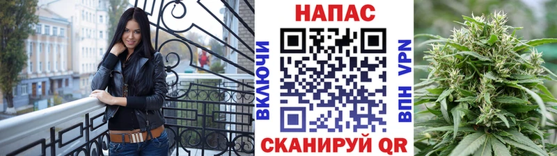 Купить где  Тогучин  Каннабис план 